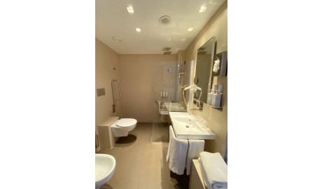 Accesible Hotel image