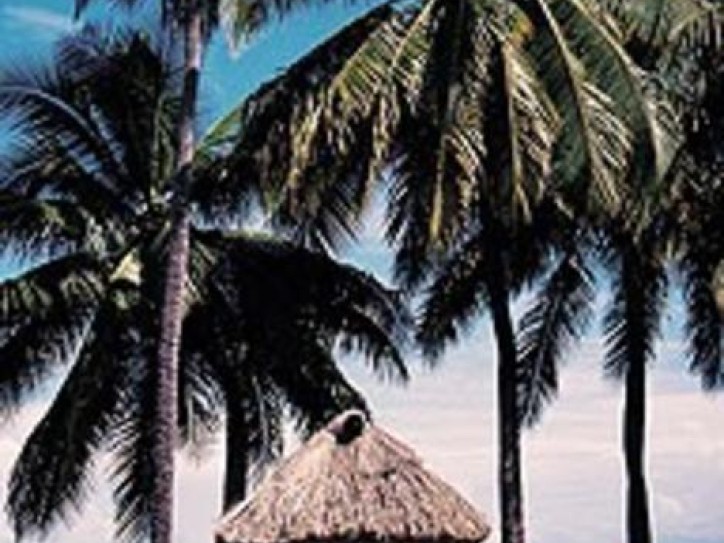 Beach Hotel Card image