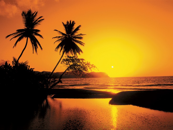 Celebrity Caribbean Cruises Card image