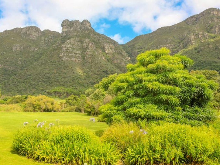 SOUTH AFRICA SAFARI: CAPE TOWN + GARDEN ROUTE + ADDO (CIRCULAR) Card image