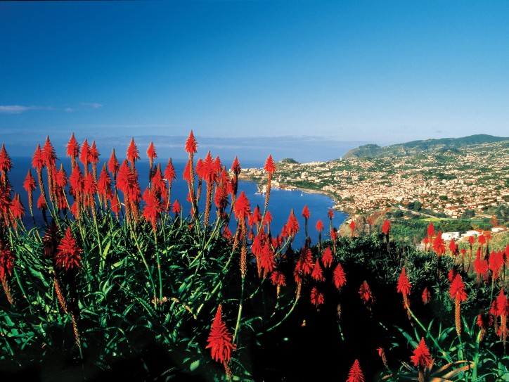 NCL Europe, Mediterranean & the Baltic Cruises Card image