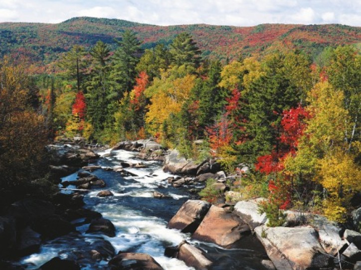 NCL Canada & New England Cruises Card image