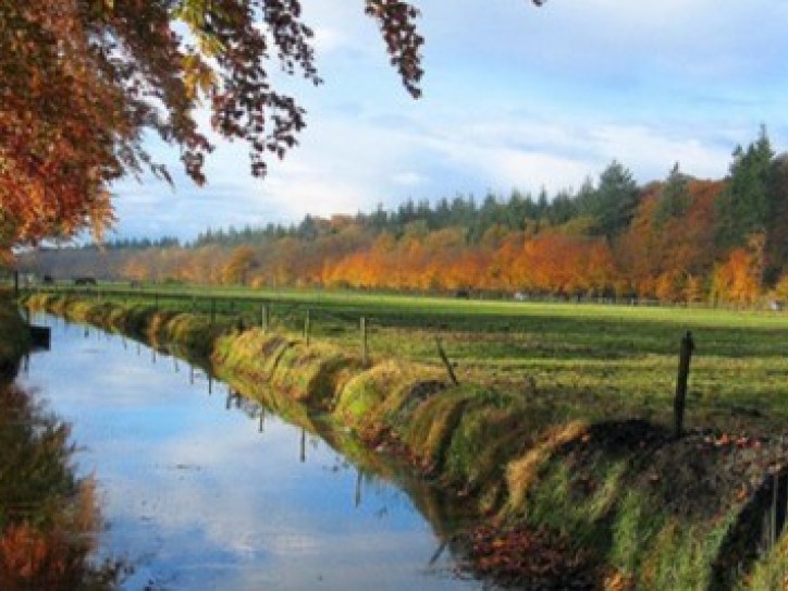 Accessible scenic room in rural Burgundy Card image