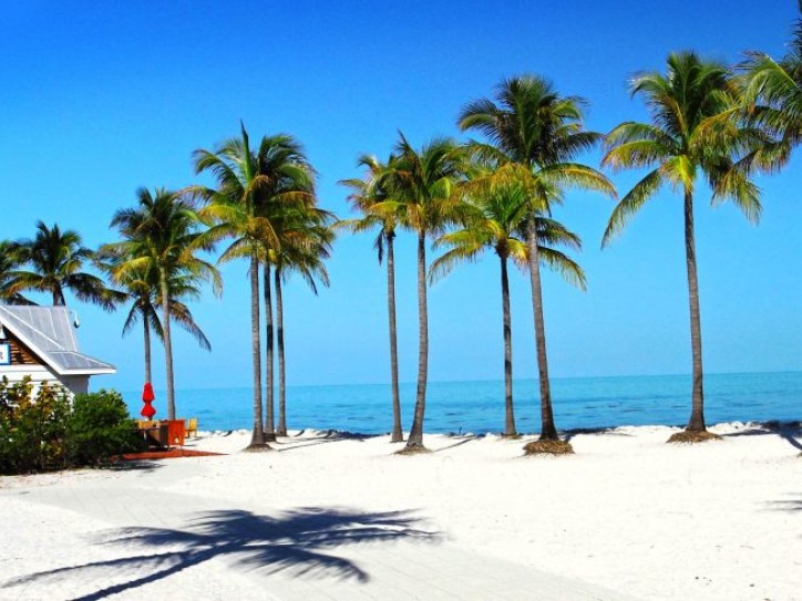 Beachfront Hotel & Resort Card image