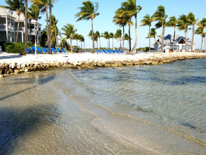 Beachfront Hotel & Resort Card image