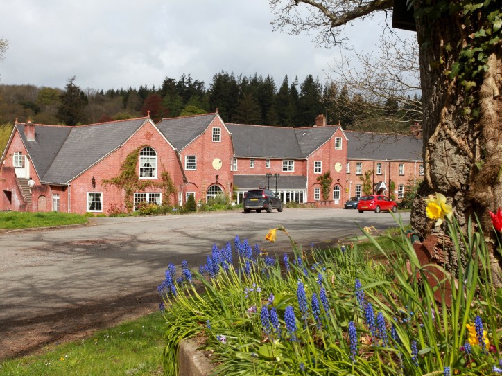 Country Hotel Card image