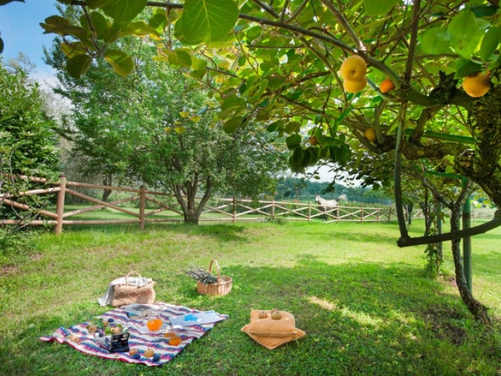 Heaven on earth apartment Card image