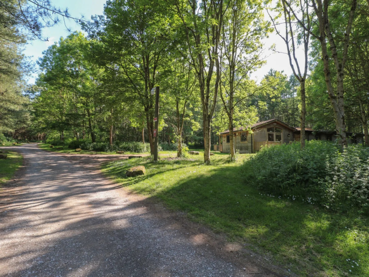 Chestnut lodge Card image