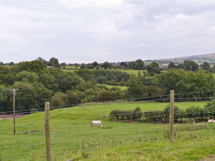 Ribble Valley Cottage Card image