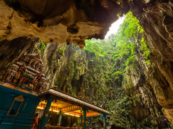 Wild rainforests and buzzing cities Card image