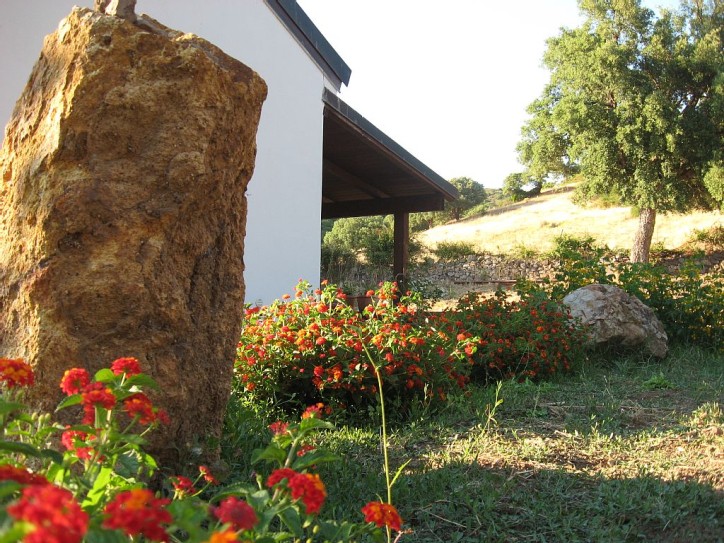 Country Holiday Villa Card image