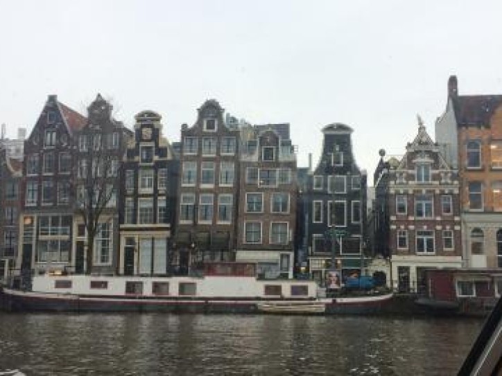 Dutch Tulip Experience Tour Card image