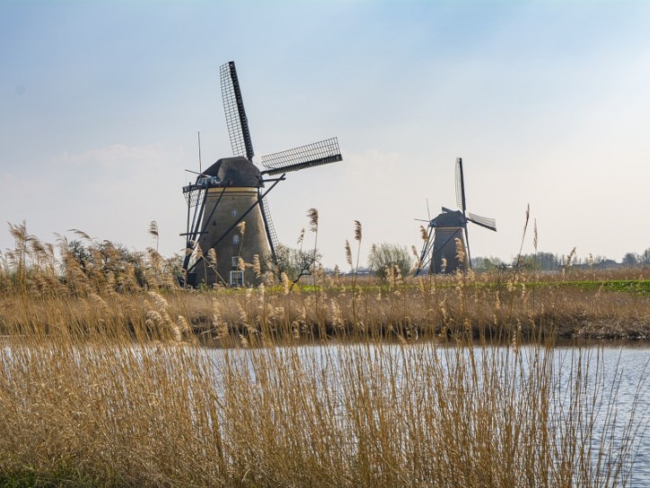Best of the Netherlands Card image