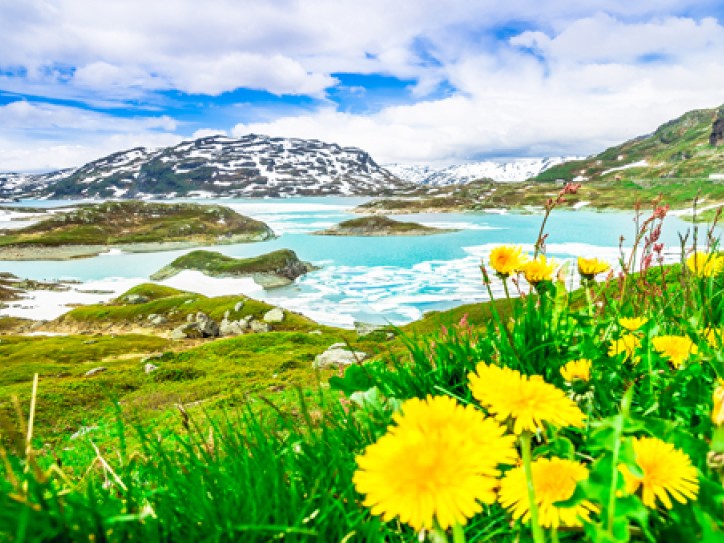 Royal Caribbean Norwegian Fjords Card image