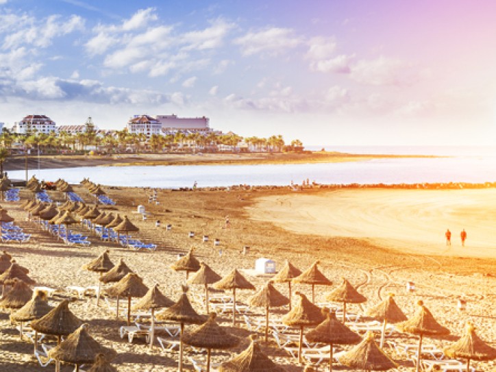 Discover the Canaries Card image
