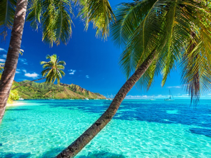 P&O South Pacific Cruises Card image