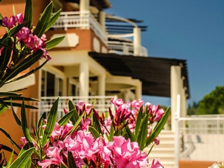 Wheelchair-Friendly Apartments Card image