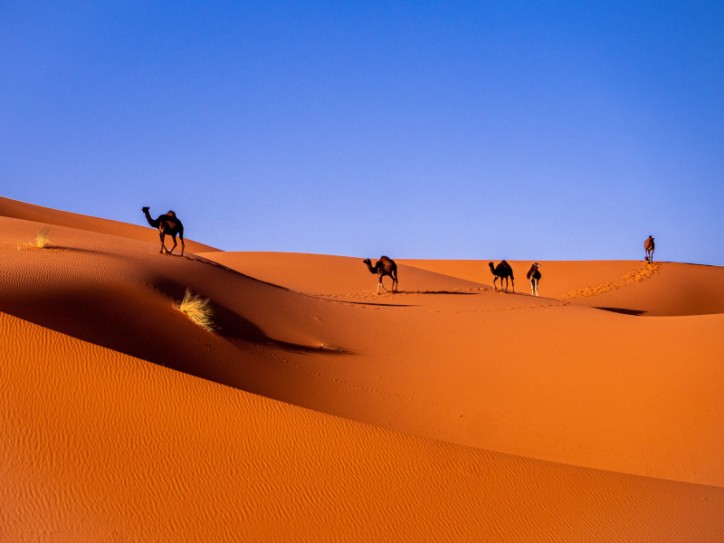 Enchanted Morocco - Group holiday Card image