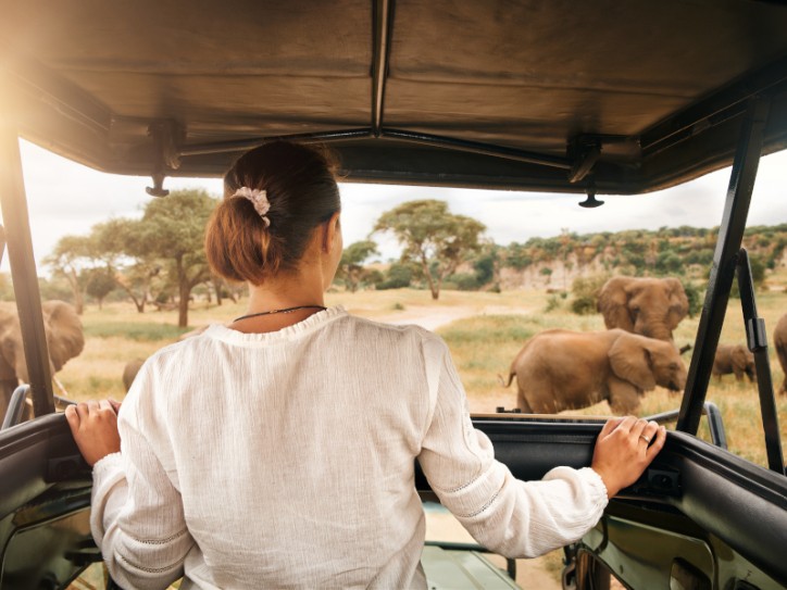Group escorted accessible safari Card image