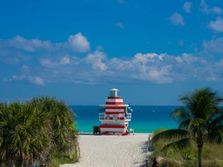 Orlando & Miami Florida - Group Tour Card image
