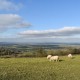 Countryside Cottage image