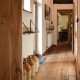 Countryside Cottage image
