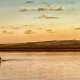 P&O World Cruises image