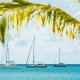 P&O World Cruises image