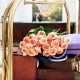 Luxury 5-Star Hotel image