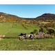 Accessible Cottage (Pet Friendly) image