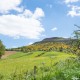 Accessible Cottage (Pet Friendly) image