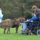 Accessible Cottage image
