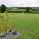 Accessible Barn (pet friendly) image