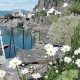 Beach Cottage image