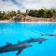 Celebrity Canary Island Cruises image