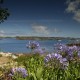 Fred.Olsen Mediterranean Cruises image