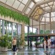 Luxury 5 star hotel image