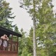 Accessible Log Cabin image