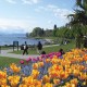 Royal Caribbean Canada & New England cruise image