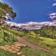 Royal Caribbean Australia & New Zealand Cruises image