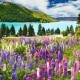 Accessible P&O Cruises image