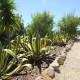 Accessible holiday villa image