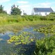 Accessible holiday cottage image
