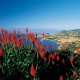 NCL Europe, Mediterranean & the Baltic Cruises image