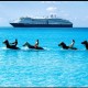 Holland America Caribbean Cruises image