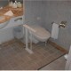 Regent Seven seas Canada & New England image