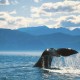 Silversea Alaska Cruises image