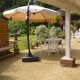 Luxury accessible barn image