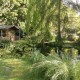 Accessible Countryside Cottage image