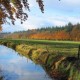 Accessible scenic room in rural Burgundy image